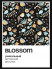 the Brights x BLOSSOM [black]